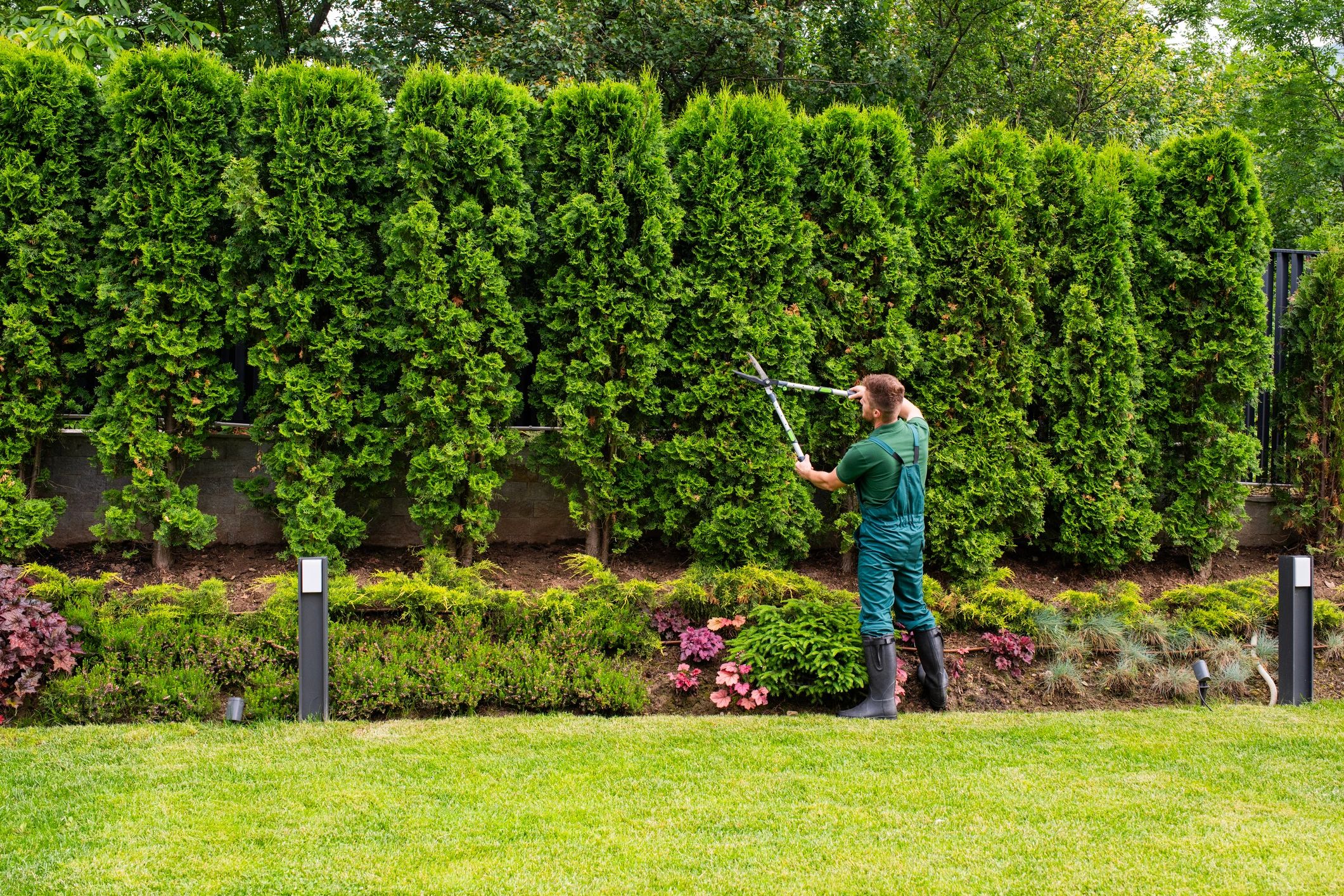 How to Choose a Reliable Lawn Service
